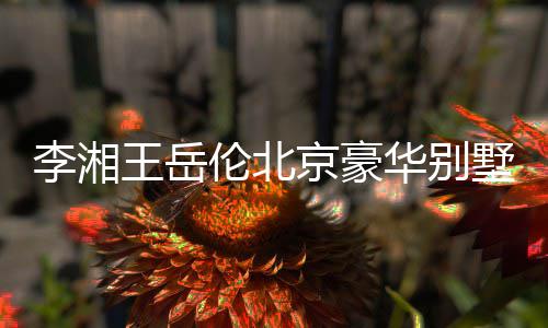 王岳万上层光 下三京豪价值李湘伦北华别5千墅曝