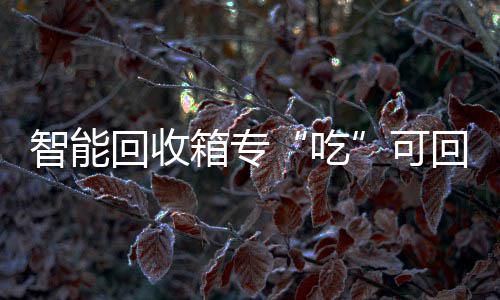 吃箱专智能垃圾可回收回收