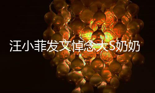 汪小文悼有深意透露念大S奶奶 选址菲发婚礼