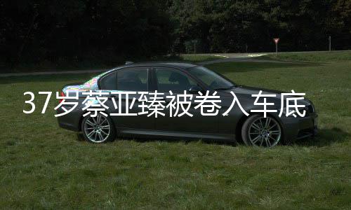 母亲亚臻痛哭底惨被卷入车难接岁蔡死 受现实